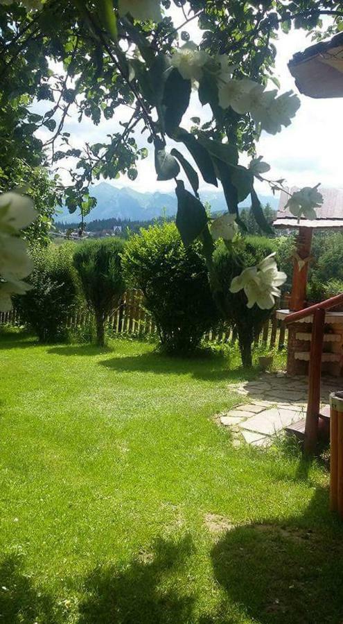 Villa Agrotatry U Stachy Bukowina Tatrzańska Exterior foto